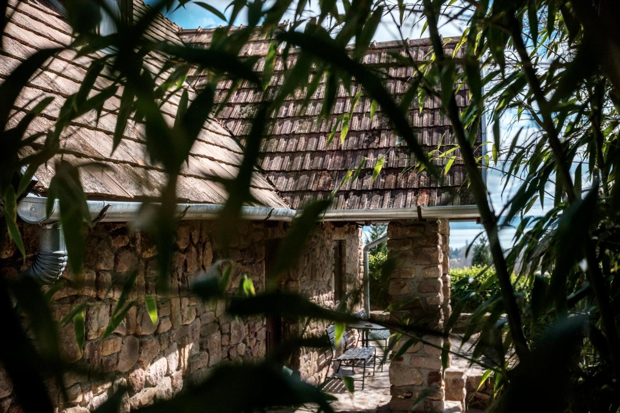 Ábrahámhegyi panorama hideout Villa Bagian luar foto